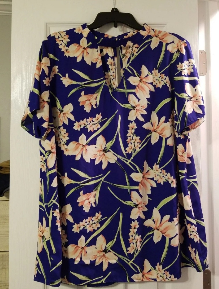 NWOT Janette Plus Top